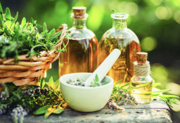 Time to blend naturopathy and allopathy for a healthier nation - Jindal Naturecure Institute 2023-01-15 18-24-51.png